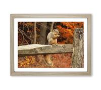 Squirrel Autumn Forest Modern Framed Wall Art Print, Ready to Hang Picture for Living Room Bedroom Home Office Décor, Oak A2 (64 x 46 cm)