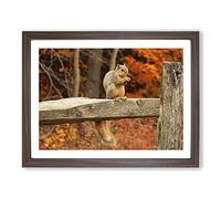 Squirrel Autumn Forest Modern Framed Wall Art Print, Ready to Hang Picture for Living Room Bedroom Home Office Décor, Walnut A4 (34 x 25 cm)