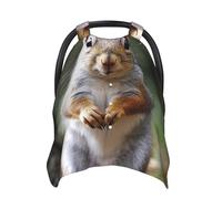 Squirrel Baby Car Seat Canopy Cover, Multi Use Breathable Nursing Breastfeeding Covers for Mom Soft Stroller Sun Shade Newborn Shower Gift