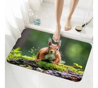 Squirrel Bath Mat Non Slip 40x60cm, Quick-drying Bathroom Shower Floor Mat, Super Absorbent Carpet, Indoor Easy to Clean Washable Rug for Bedroom, Living Room, Kitchen, Toilet, Door, Bathtub 5-1028