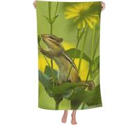 Squirrel Beach Towel, 3D Animals Towel Quick Drying Lightweight Sand Free Microfibre Bath Towels 80x160 cm for Kids Adults Men Women, Towels for Travel, Swimming, Camping, gym, X801