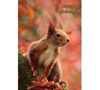 Squirrel Birthday Card