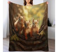 Squirrel Blanket Soft All Season Couch Throw, Cozy Flannel Sofa Bed Microfiber Washable Bed Blankets, （150×200cm）