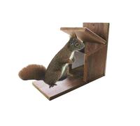 Squirrel Box 22x12x25 cm, Hardwood House Wild Animals Glass Feed New