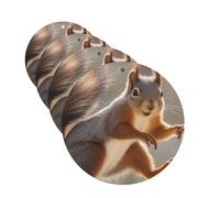 Squirrel Car Air Fresheners 4 Pcs Funny Hanging Car Air Fresheners Cute Long Lasting Scented Mirror Hanging Decoration Ornaments Gift For Men Women Round Shape