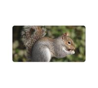 Squirrel Desk Pad Waterproof Writing Mouse Pad Non-Slip Laptop Desk Protector Large Office Desk Mat Computer Keyboard Rubber Mat for Work Home Decor 12" X 24"