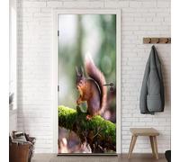 Squirrel Door Stickers for Interior Doors Animal Door Murals Self Adhesive 3D Wallpaper Decals for Bedroom Bathroom Living Room Decor 35.4"x82.7" A-2326
