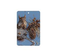 Squirrel Eating Squirrels Pattern Car Air Fresheners 6 Pcs Rectangle Hanging Aromatherapy Tablets Scented Fresheners For Bedroom Bathroom