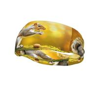 Squirrel Eating Walnut Pattern Sports Sweatband Headscarf Head Bands For Women Men Suitable For Running Yoga Fitness Football
