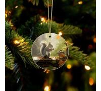 Squirrel Eats Nuts Acrylic Christmas Ornaments - Circular Christmas Tree Decorations Ornament, Winter Holiday Keepsake Pendant for Fireplace, Mantel, Wreath Holiday Party Decor