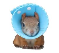Squirrel Elizabeth Collar, Sugar Glider Protection Cone Neck Recovery Collar, Elizabeth Anti-Water Cone for Small Animals, Soft Pet Neck Cone for Squirrel (for Eurasian Red/Russian Red Tree Squirrel)