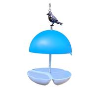 Squirrel Feeder Hanging Bird Feeders Mealworms And Bird Seed Feeders Small Mealworms Or Seed Perfect For Feeding And Dry To Birds (Blue, One Size)
