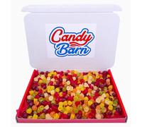 Squirrel Floral Gums Sweets Gift Box 450g Assorted Fruit Flavours Retro Candy Sweets Hamper