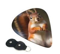 Squirrel Funny Animal 6 Pack Guitar Picks With Holder, Personalized Guitar Plectrums Non-Slip Portable Ukulele Bass Picks 0.71mm For Acoustic Guitar Lovers Gifts