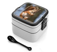 Squirrel Funny Animal Bento Box with Spoon & Handle - 2 Compartment Leak-Proof Stackable Lunch Box for Adults, BPA-Free Reusable Food Containers for Work, Travel, Picnic