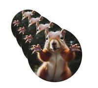 Squirrel Funny Animal Car Air Fresheners 4 Pcs Funny Hanging Car Air Fresheners Cute Long Lasting Scented Mirror Hanging Decoration Ornaments Gift For Men Women Round Shape