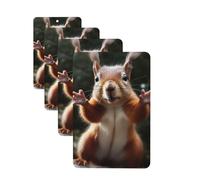 Squirrel Funny Animal Car Air Fresheners 4 Pcs Funny Hanging Car Air Fresheners Cute Long Lasting Scented Mirror Hanging Decoration Ornaments Gift For Men Women Rectangle