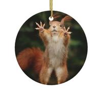 Squirrel Funny Animal Christmas Ceramic Ornament,Double-Sided Printed Round Bauble With Gold String,Unique Dual-Face Design For Xmas Tree Home Festive Decor