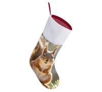 Squirrel Funny Animal Christmas Stocking Vintage Luxury Decorations Socks Large Capacity Soft Short Plush Xmas Socks for Family Holiday Party Xmas Tree Fireplace