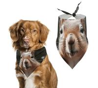 Squirrel Funny Animal Dog Bandanas for Feeding Grooming, Triangle Pet Bibs for Cats & Dogs Washable Fashion Pets Scarf for Party Travel 27.6 X 11.8 Inch