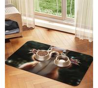 Squirrel Funny Animal Dog Food Mats for Floors, 16x24 Inch Non-Slip Super Absorbent Pet Food Mat, Dishwasher Dog Mat for Food and Water, Cute Quick Dry Pet Feeding Mat for Dogs Puppy Cats
