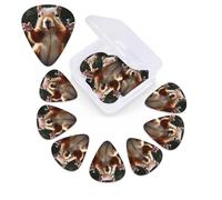 Squirrel Funny Animal Guitar Picks 12 Pack 3 Different Thickness Celluloid Guitar Plectrums with Guitar Pick Storage Box Personalized Guitar Pick for Acoustic Guitar Picks