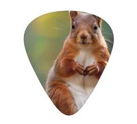 Squirrel Funny Animal - Guitar Picks-12 Pack Includes Thin, Medium & Heavy Gauges, Best Gift for Guitar Lovers
