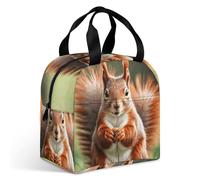 Squirrel Funny Animal Lunch Bag Large Capacity, Leakproof Insulated LunchBox for Women Men, Thermal Cooler Bags Portable Lunch Tote Bag for Office, Travel & Picnic