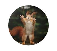Squirrel Funny Animal Metal Round Button Badge with Pin,Personalised Print Decor Badges 6 Cm for Bags Backpack Jacket Clothing