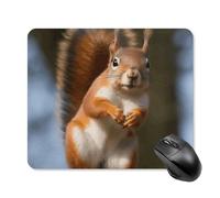 Squirrel Funny Animal Mouse Pad Square Mouse Mat Non-Slip Rubber Base Mousepad Wireless Mice Mat for Gaming, Office & Home, Waterproof Mouses Mats for Laptop/Desktop 25 * 30cm