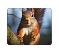 Squirrel Funny Animal Mouse Pad Waterproof Gaming Mousepad for Office Computer Mousepads for Desk Pad with Non-Slip Rubber Base Washable Cloth Mouse Mat 10 x 12 inch