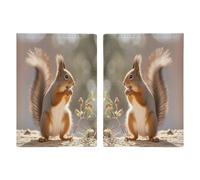 Squirrel Funny Animal Passport Holder Personalized Passport Wallet for Women Men Travel Document Organizer Holder