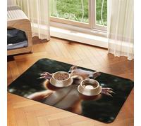 Squirrel Funny Animal Pet Feeding Mat 40x60cm, Absorbent Dog Mat for Food and Water Bowl, PU Leather Cat Food Mat Waterproof Dog Bowl Mats Quick Dry Pet Placemats-No Stains