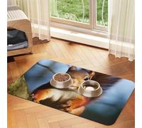 Squirrel Funny Animal Pet Feeding Mat Absorbent Pu Leather Dog Cat Food Mats Contain Spills Protects Floors, Anti-Slip Rubber Backing Dog Bowl Mats Easy Clean Pet Placemats 40x60cm