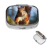 Squirrel Funny Animal Pill Box 2 Compartment Medicine Pill Organizer Square Pill Case for Purse & Pocket Travel Pillbox Portable Metal Medicine Vitamin Fish Oil Organizer Unique Gift