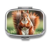 Squirrel Funny Animal Pill Box with 2 Compartments Portable Metal Medicine Organizer for Pocket Purse and Travel Compact Pill Case and Fish Oil Vitamins Supplements