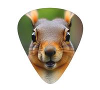 Squirrel Funny Animal Premium Acoustic Guitar Picks,Electric Guitar Picks For Unparalleled Musical Experience