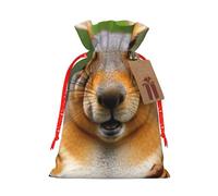 Squirrel Funny Animal Print Birthday Gifts Wrap Bag Unique Drawstring Gifts Bag Canvas Bags for Party Wedding Present,1 Piece S
