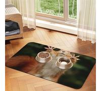 Squirrel Funny Animal print Cats Pet Bowl Placemat Pet Feeding Mats for Dogs, Non-Slip PU Leather Tablecloth for Pets