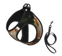 Squirrel Funny Animal print Dog Harness, 2X Buckle,Dog Vest,No Pulling Front Leash Clip,for Small Medium Dogs