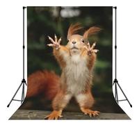 Squirrel Funny Animal Print Photo Studio Background 5x7ft Soft Photo Backdrop Curtain For Studio Content Creator Equipment