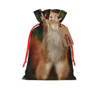 Squirrel Funny Animal Printed Christmas Drawstring Bags with Red Christmas Ribbon - Reusable Burlap Drawstring Gift Pouches, S