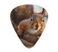 Squirrel Funny Animal Printed Custom 12 Pieces Guitar Pick In A Box,The Pick Makes Sound Clear, Ukulele, Electric Bass (0.46 0.71 0.96mm)