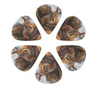 Squirrel Funny Animal Printed Guitar Picks -6 Pcs Guitar Picks Plectrum,Guitar Accessories,Electric Guitar Pick, Bass & Ukulele 0.71mm