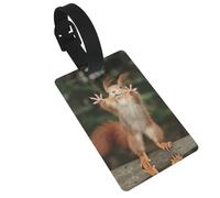 Squirrel Funny Animal Printed Luggage Tags with Wrist Strap,Name Id Label for Suitcase,Airplane Travel Essentials