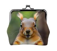 Squirrel Funny Animal small wallets woman,wallets for women,coin purse for women,small womens wallet,with zipper and kiss lock, Black, One Size, Art Deco
