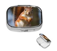 Squirrel Funny Animal Square Metal Pill Box 2 Compartment Cute Travel Pill Organizer Case Portable Medicine Vitamin Organizer Pill Case for Women Men Travel Unique Gift