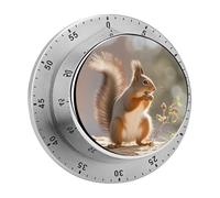 Squirrel Funny Animal Timer Stainless Digital Visual Timer Exquisite Mechanical Countdown Time Management Tools with Silent Operation Timer for Kitchen Office Classroom