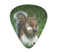 Squirrel Guitar Picks 12 Pack Set Guitar Gift for Bass Picks Acoustic Guitars Plectrums with Clear Storage Box