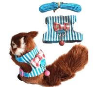 Squirrel Harness and Leash Set for Outdoor Walking, Small Guinea Pig Clothes with Bowknot and Bell, Small Pet Harness Vest and Leash Set for Gerbil Guinea Pig Squirrel Kitten (Medium,Blue)